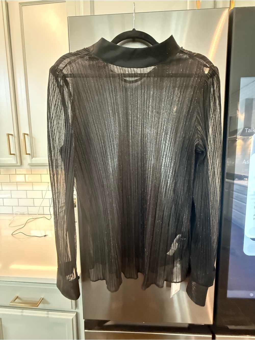 Free People Black Sheer Pleated Mock Neck Long Sleeve Top